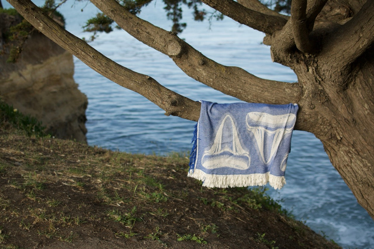 Awkward_Towel_On_A_Tree_Large_c86bfb30-df23-46eb-b55c-08f36be98bda.jpg