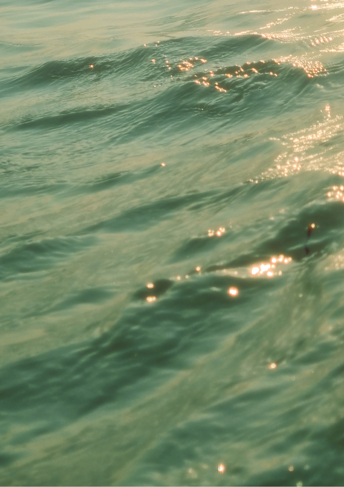 Too_Beachy_Brand_Ideation_4a3e4140-0b2d-4096-a506-5100bdbcc00e.png